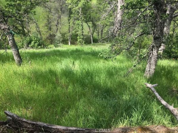 16368 Lariat, Corning, CA 96021