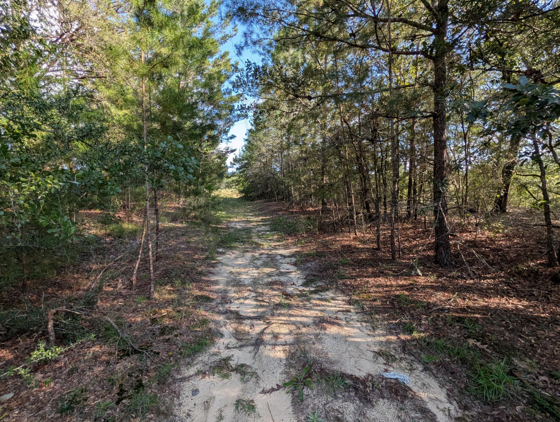 Tbd Willow Bend Drive, Defuniak Springs, FL 32433 Main Photo