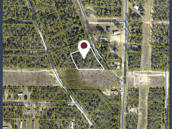 TBD Willow Bend Drive, DeFuniak Springs, FL 32433