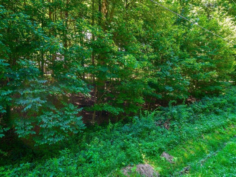 0 Westmoreland Drive, Howard, OH 43028 Photo 3