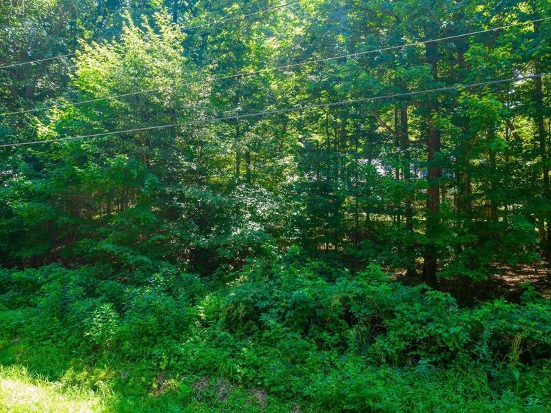 0 Westmoreland Drive, Howard, OH 43028 Photo 4