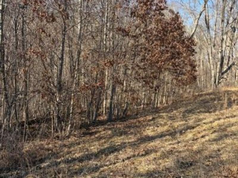 0 Calico Ridge, Logan, OH 43138 Photo 10