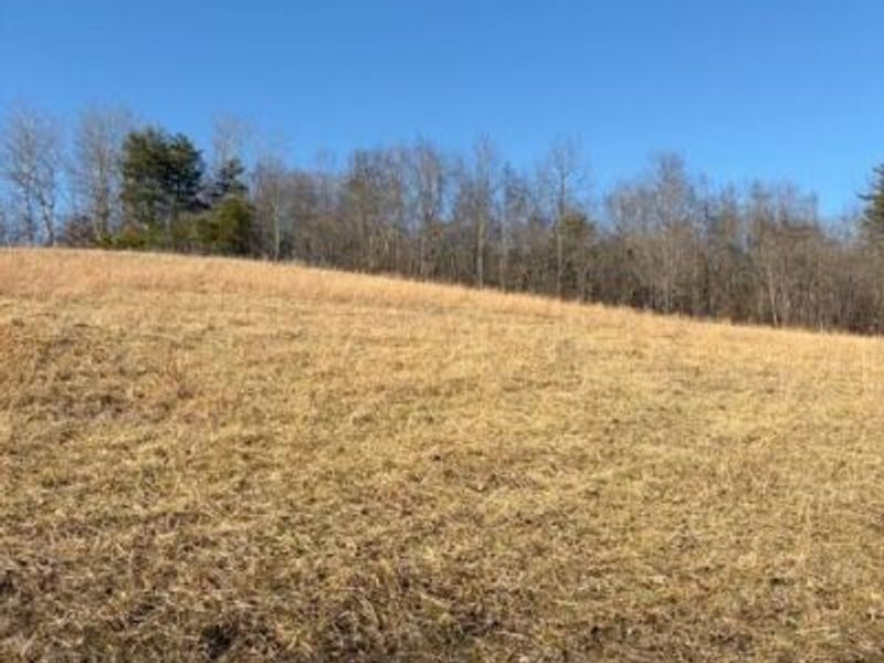 0 Calico Ridge, Logan, OH 43138 Photo 11