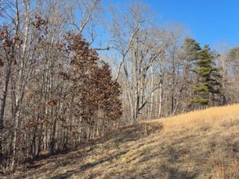 0 Calico Ridge, Logan, OH 43138 Photo 8