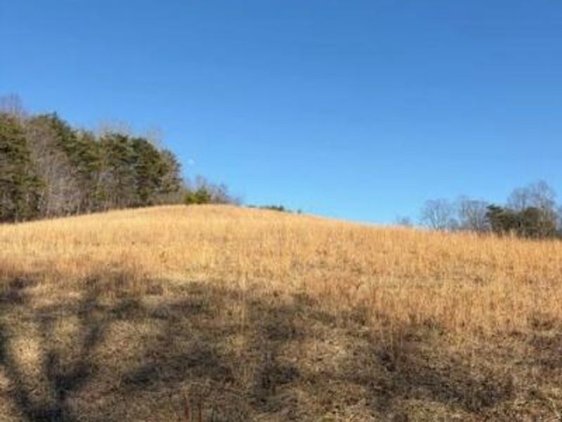 0 Calico Ridge, Logan, OH 43138 Photo 9