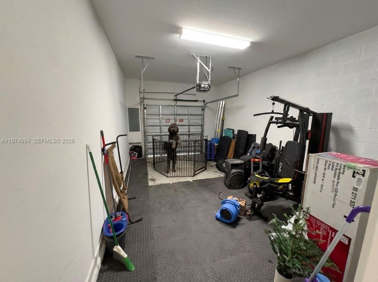 1842 SE 7th Ter , Homestead, FL 33034 Photo