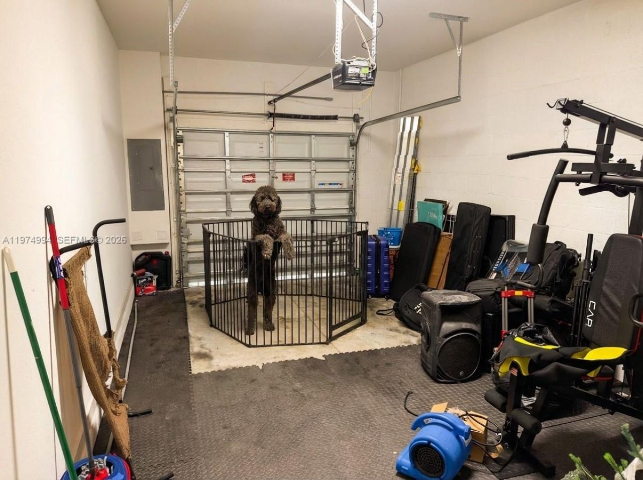 1842 SE 7th Ter , Homestead, FL 33034 Photo