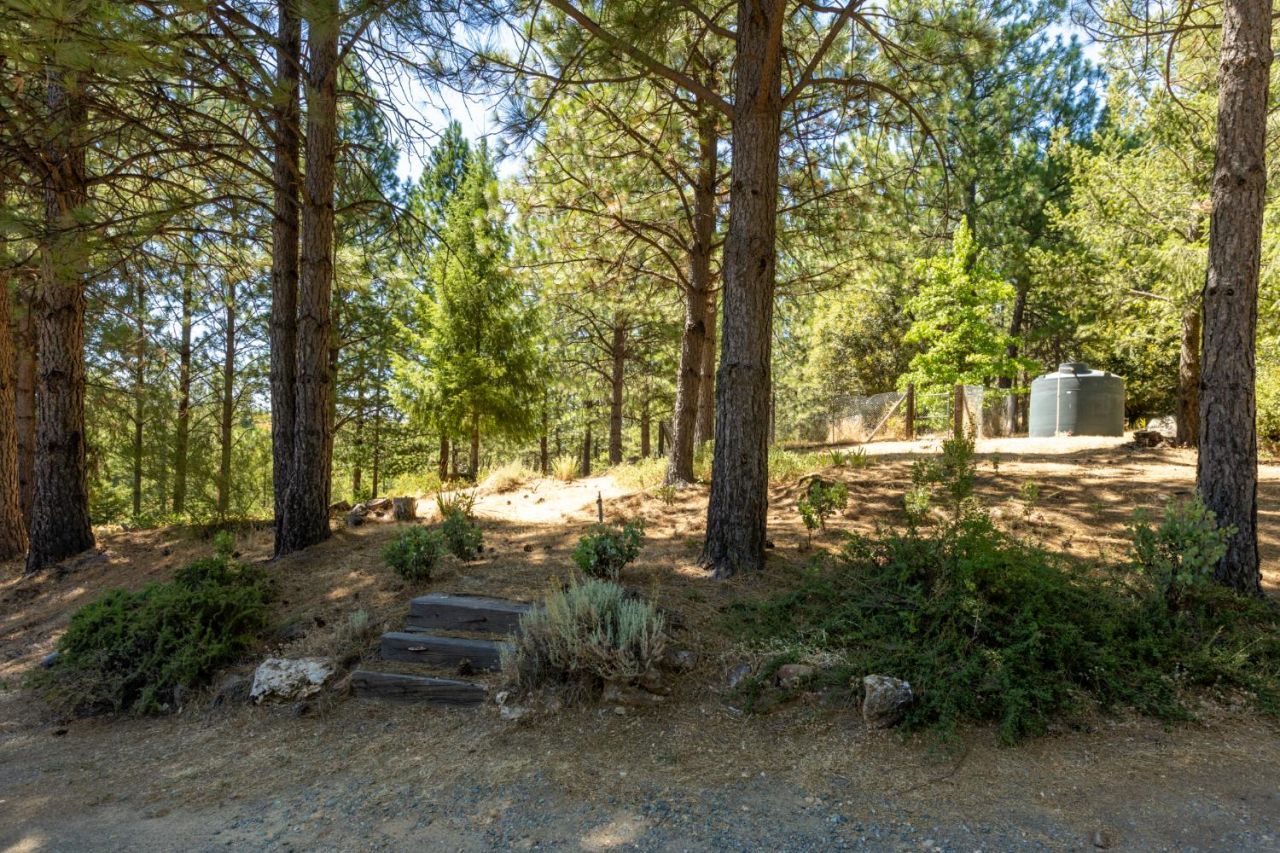 4717 Lobo Trail, Garden Valley, CA 95633 Photo