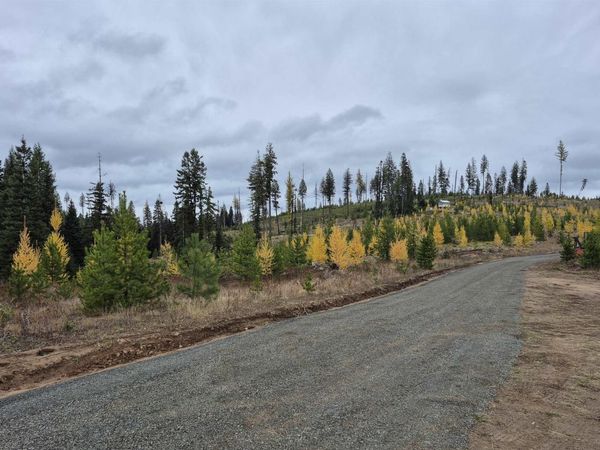 TBD French Gulch Parcel 3, Elk City, ID 83525