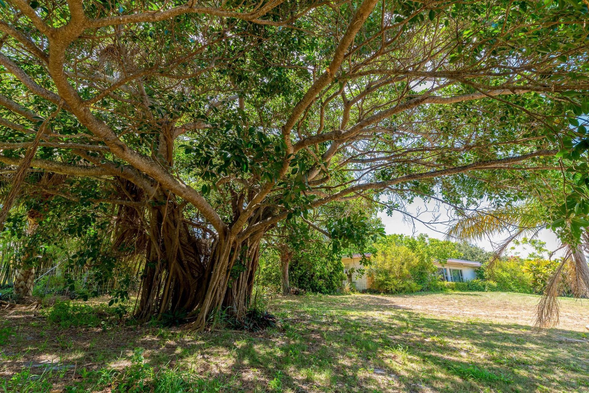 8605 S Indian River Dr, Fort Pierce, FL 34982 Photo