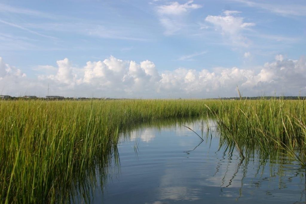 71 Hallandale Lane  Photo 20