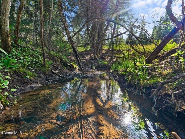 NKA Mutch Creek Road 8.3 , St. Maries, ID 83861