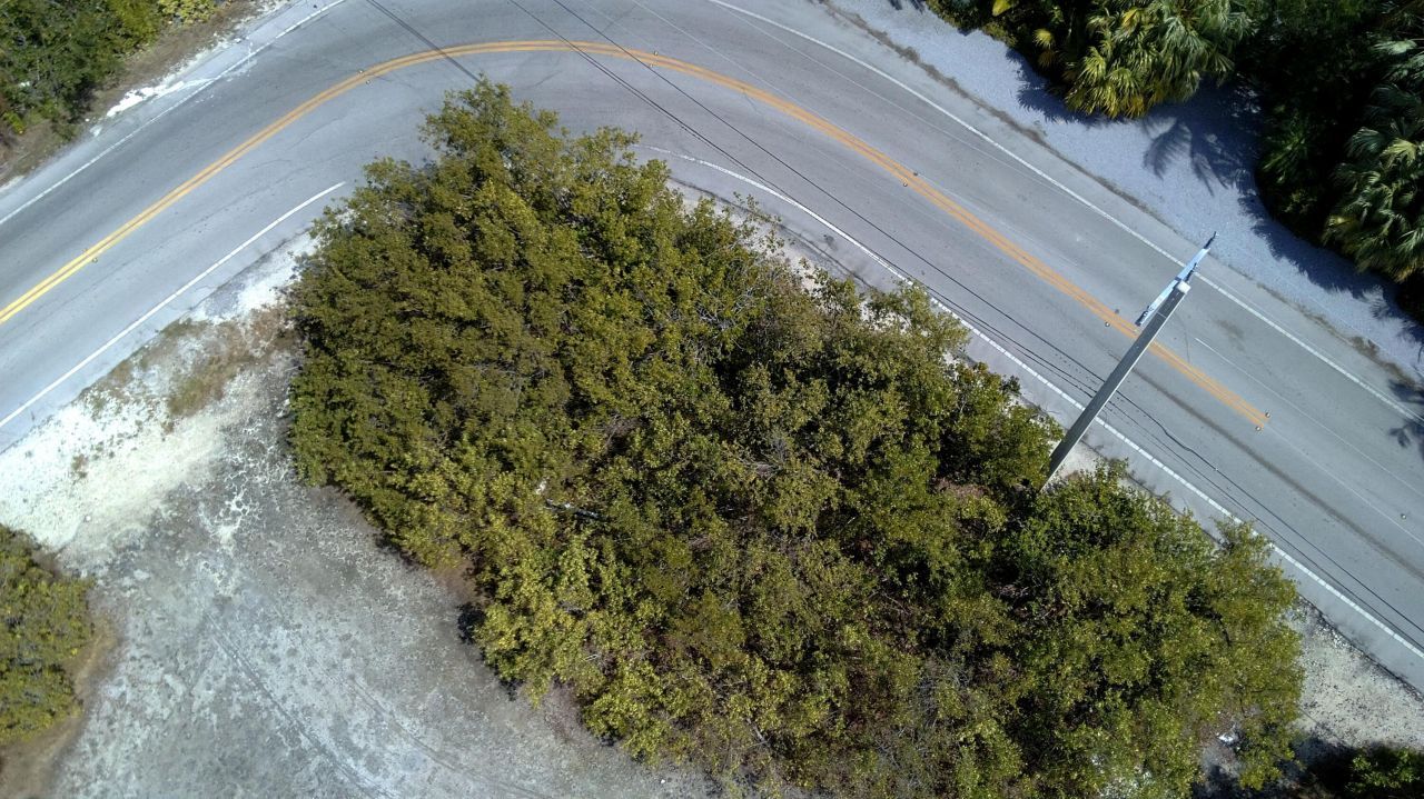 27460 W Indies Drive, Ramrod, FL 33042 Photo