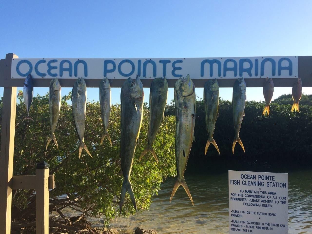 500 Burton Drive, Unit 1415, Tavernier, FL 33070 Photo