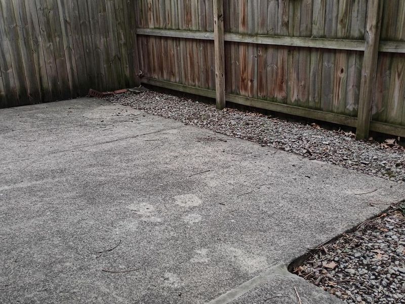 365 E North Street, Unit 5, Columbus, OH 43085 Photo 35