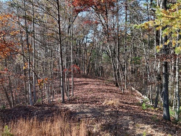 LOT 197 Springwinds Drive, Cleveland, GA 30528