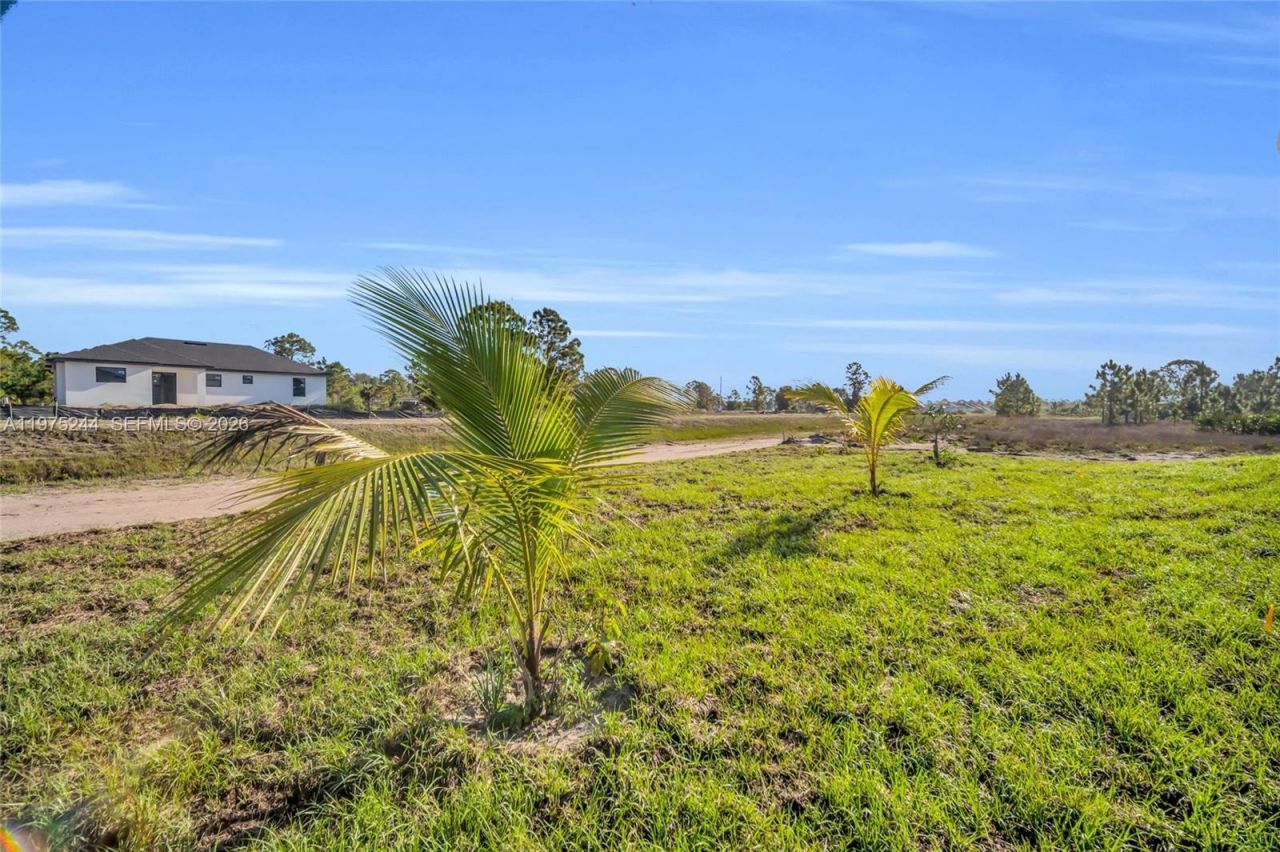 1109 Edgewood St E, Lehigh Acres, FL 33974 Photo