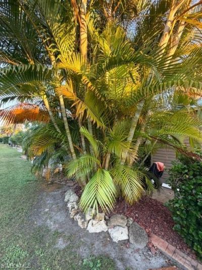 10325 Fire Flag Trl, Fort Myers, FL 33905 Photo