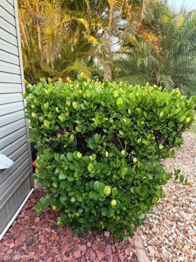 10325 Fire Flag Trl, Fort Myers, FL 33905 Photo