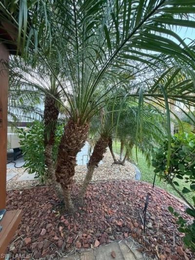 10325 Fire Flag Trl, Fort Myers, FL 33905 Photo