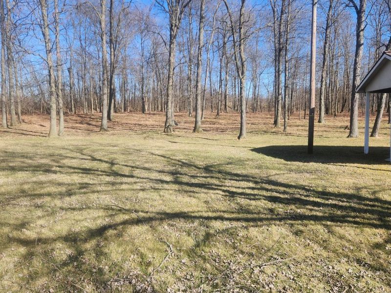 3096 State Route 99, Willard, OH 44890 Photo 3