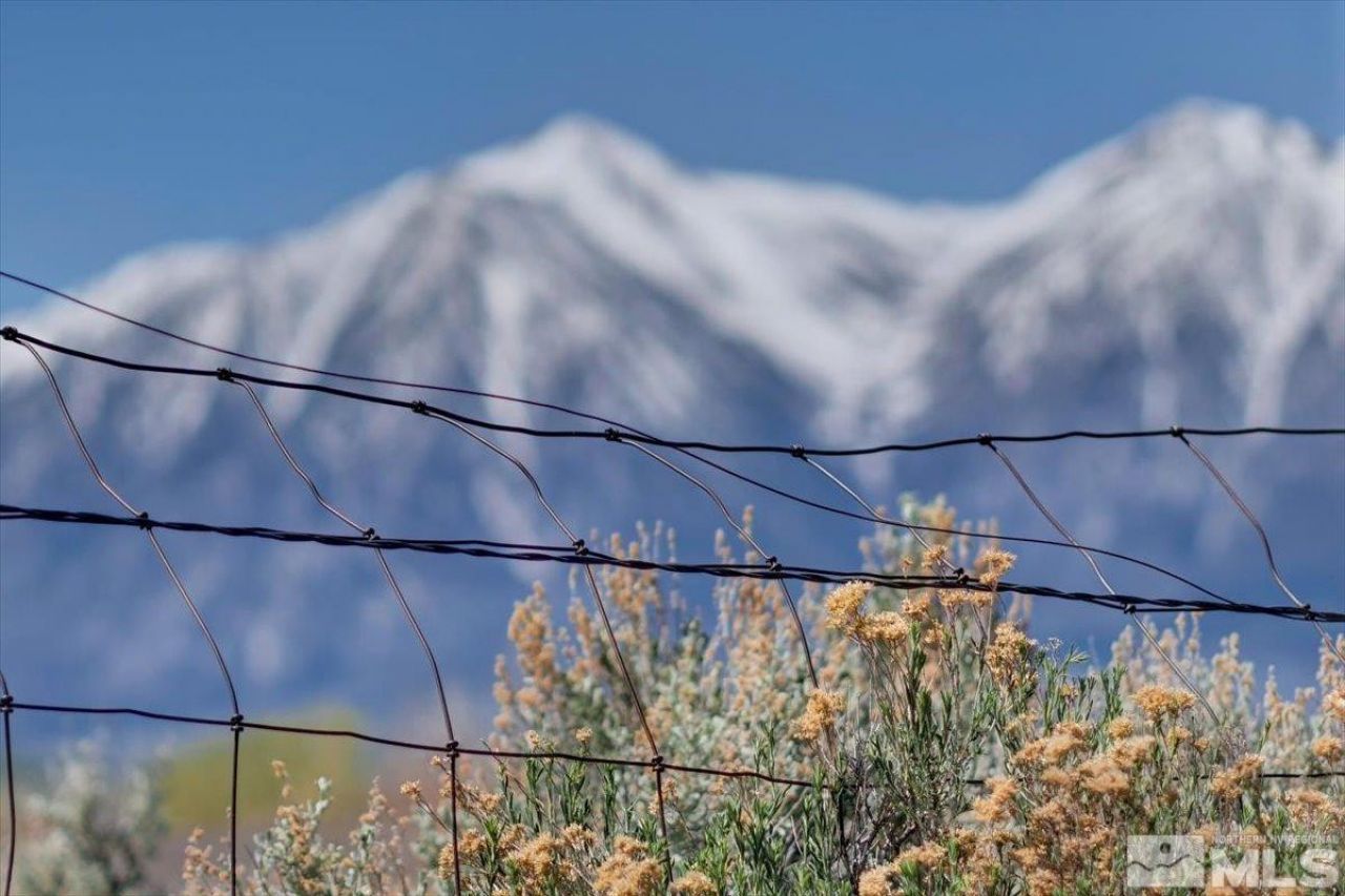 1700 Sunrise Pass Road, Minden, NV 89423 Photo