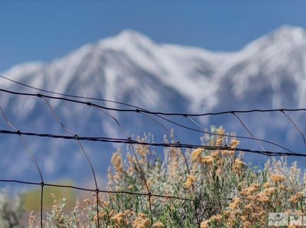 1700 Sunrise Pass Road, Minden, NV 89423 Photo