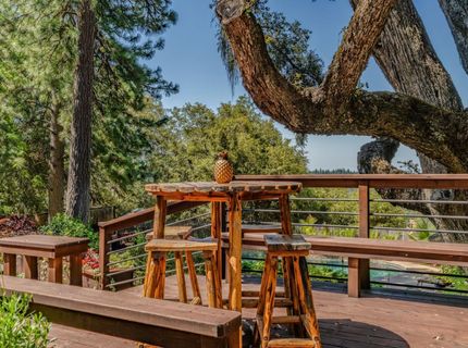 19630 Charleston Rd, Volcano, CA 95687 Photo