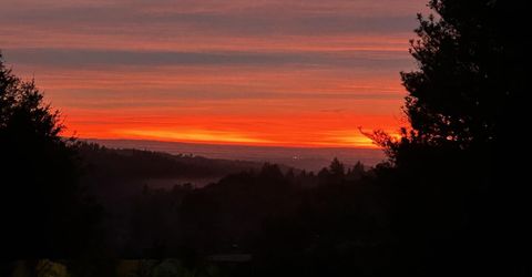 19630 Charleston Rd, Volcano, CA 95687 Photo