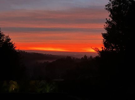 19630 Charleston Rd, Volcano, CA 95687 Photo