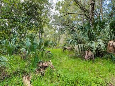 14902 DEAD RIVER ROAD , THONOTOSASSA, FL 33592