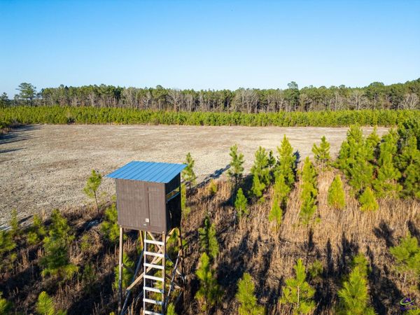 733 Chester-Cochran Highway, Chester, GA 31012