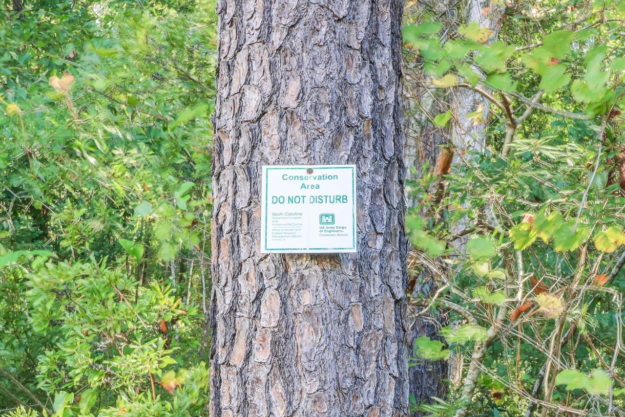 9416 Sweep Drive Photo 30