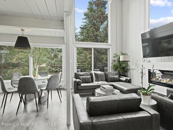 1024 E Cooper Avenue, Unit 2, Aspen, CO 81611