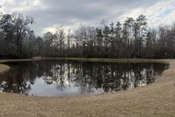 1573 Ashley Garden Boulevard photo 4