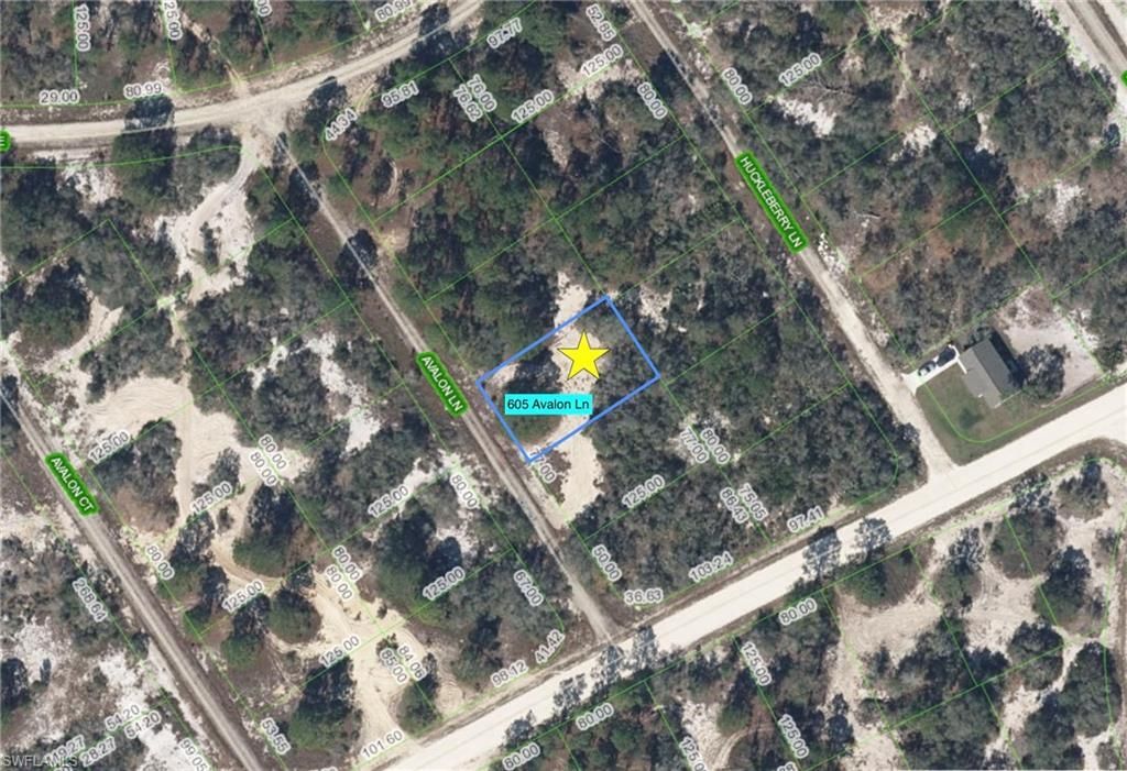 605 Avalon Ln, Lake Placid, FL 33852 Main Photo