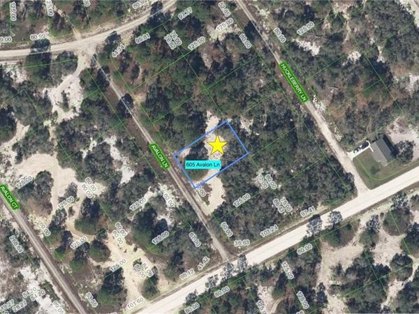 605 Avalon LN, LAKE PLACID, FL 33852