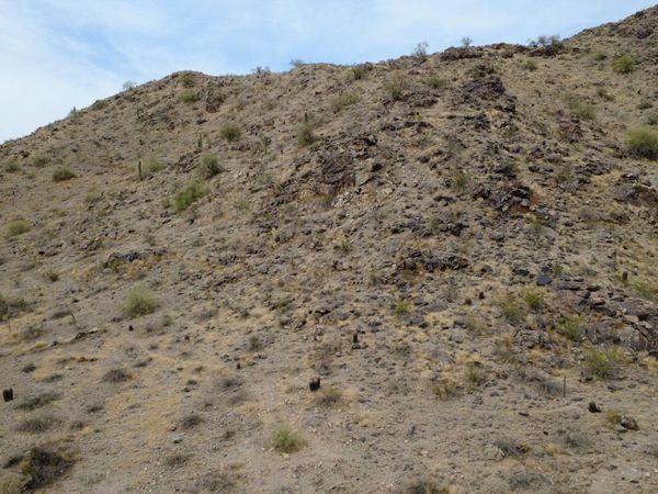 13829 S CANYON Drive, Unit 33, Phoenix, AZ 85048