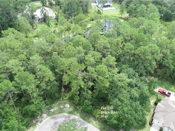 LOT 23-D Black Tern Way, Waverly, GA 31565