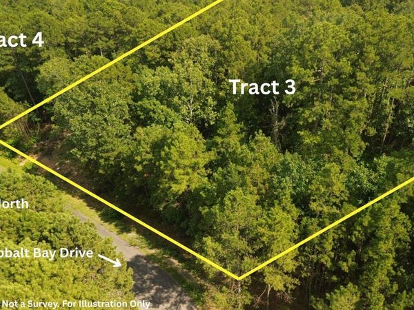 Tract 3 Cobalt Bay Drive , Shirley, AR 72153