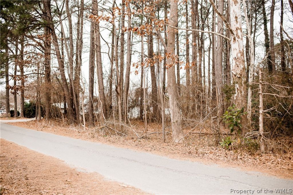 00 Riverside Drive, Lanexa, VA 23089 Main Photo