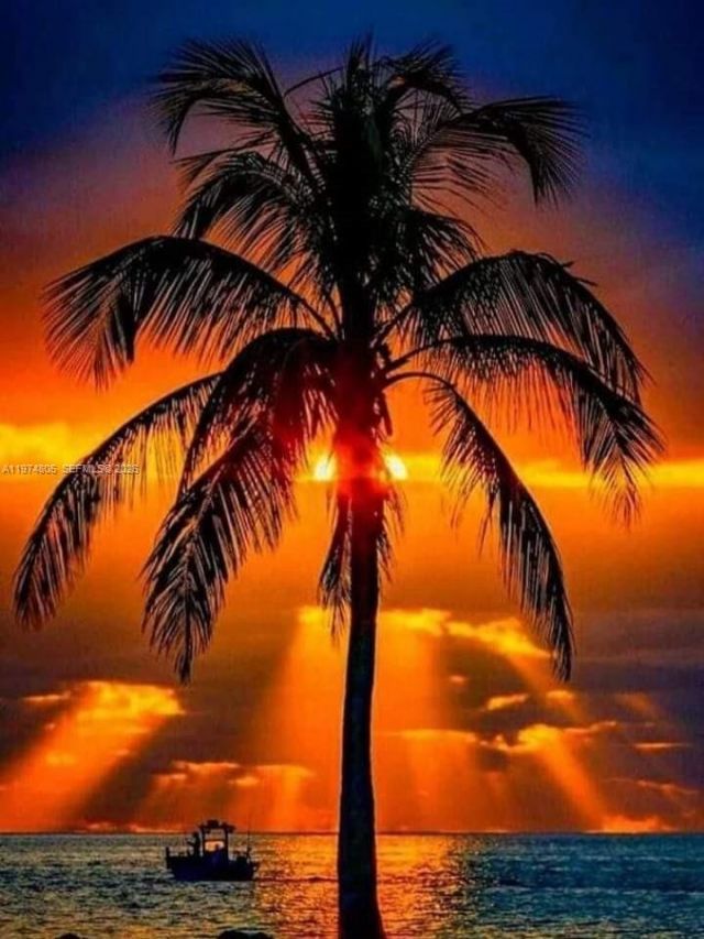 1361 Sandpiper Blvd , Homestead, FL 33035 Photo