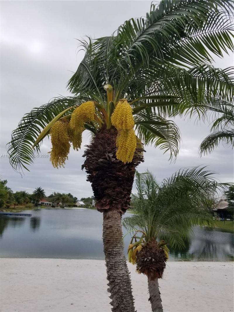 1361 Sandpiper Blvd , Homestead, FL 33035 Photo