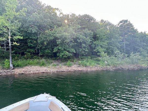 Lot 43 Cobalt Bay, Shirley, AR 72153