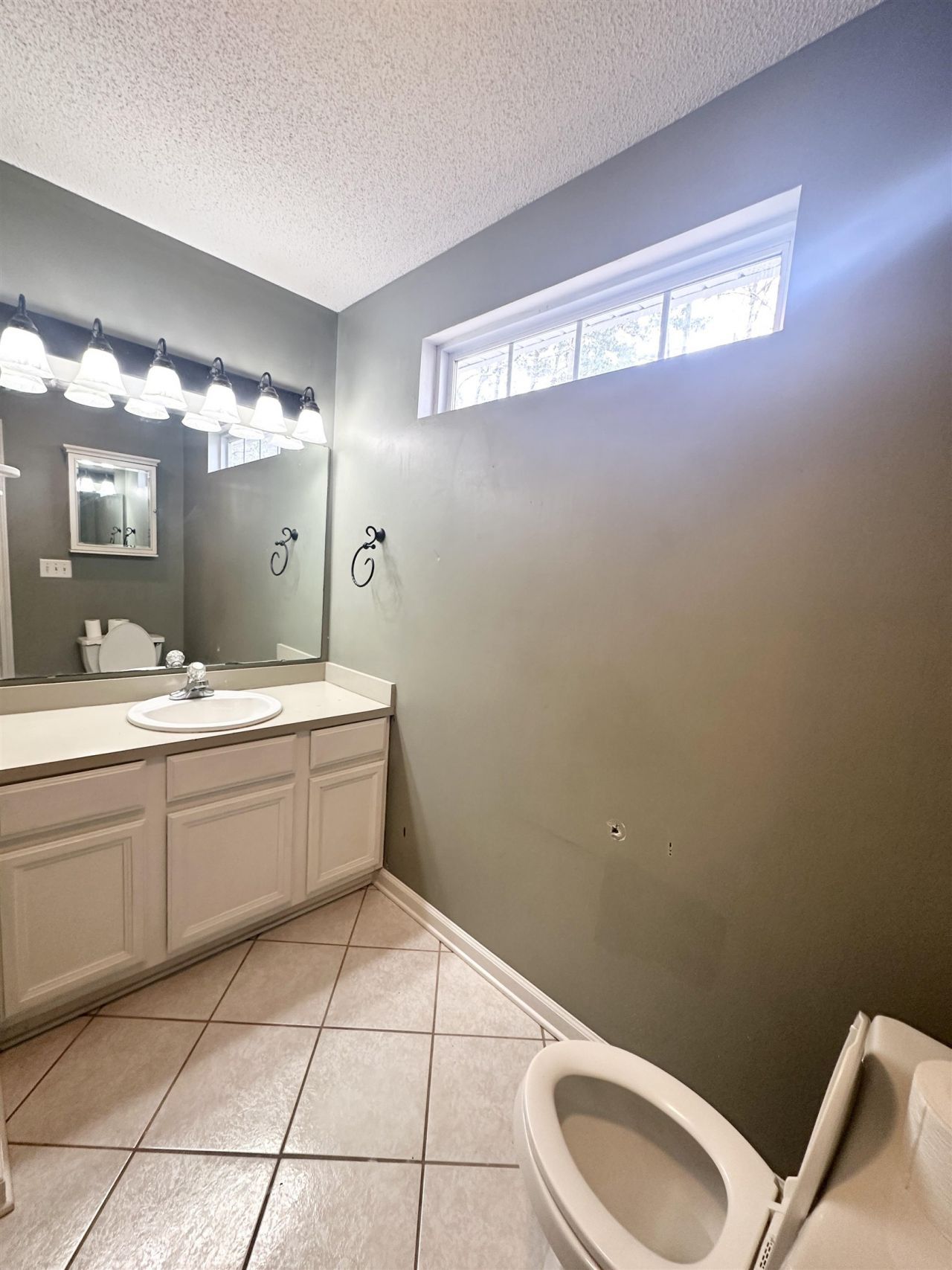 1336 Eagle Terrace Ct. Photo 8