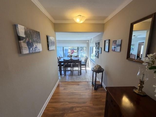 23404 Hobdy Road , Sorrento, FL 32776 Photo