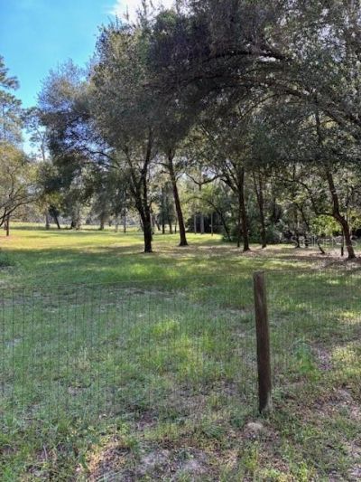 23404 Hobdy Road , Sorrento, FL 32776 Photo