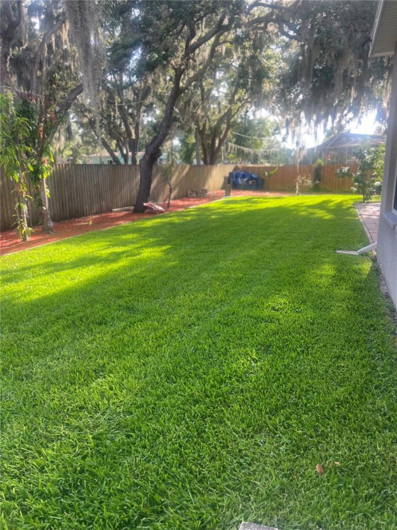 4106 Imperial Eagle Drive, Valrico, FL 33594 Photo