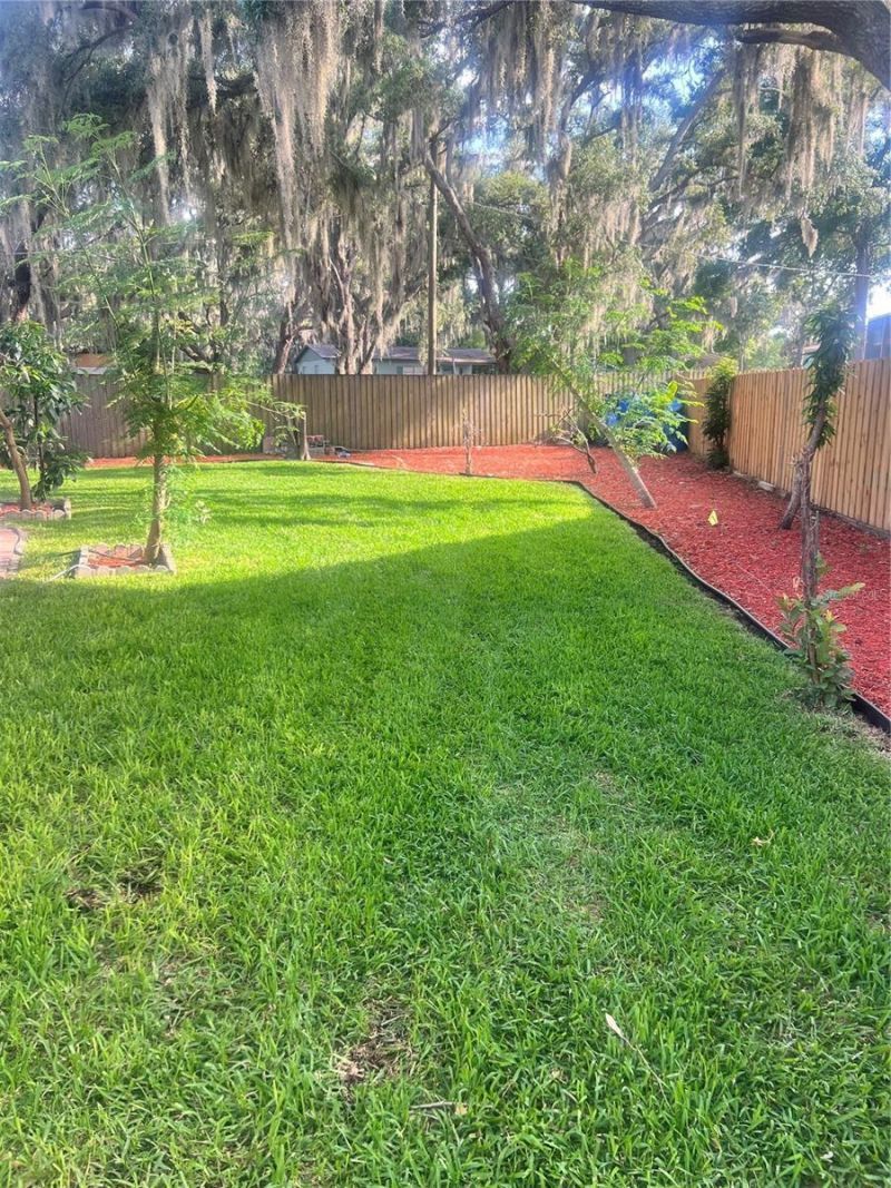 4106 Imperial Eagle Drive, Valrico, FL 33594 Photo
