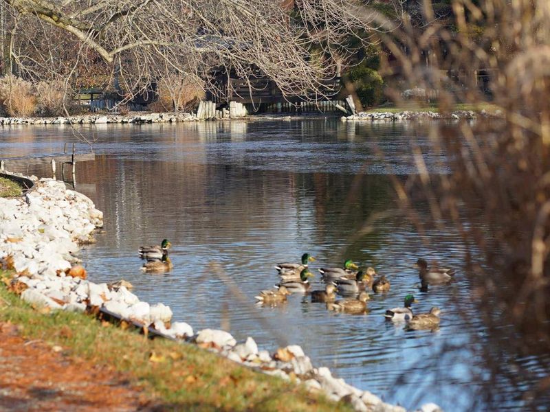 392 Hickory Lane, Westerville, OH 43081 Photo 34